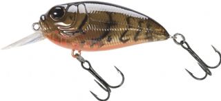 Molix Sculpo MR Rattlin Floating 5.5cm - 